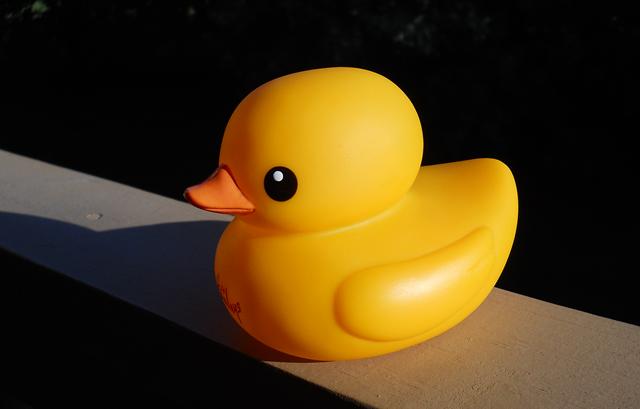 tolo rubber duck